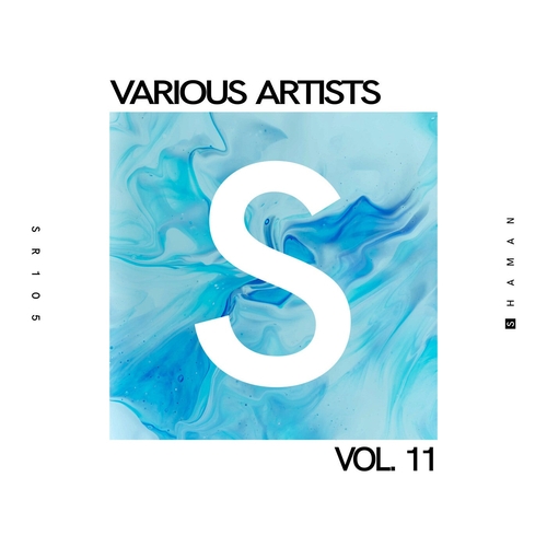 VA - Vol. 11 [SR105]